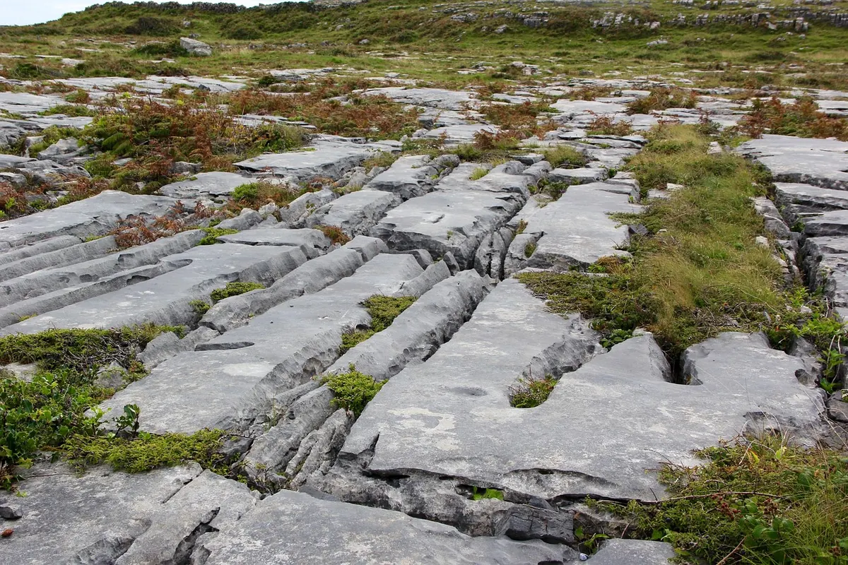 How to Identify Limestone Pavements: A Beginner's Guide to Clints and Grykes